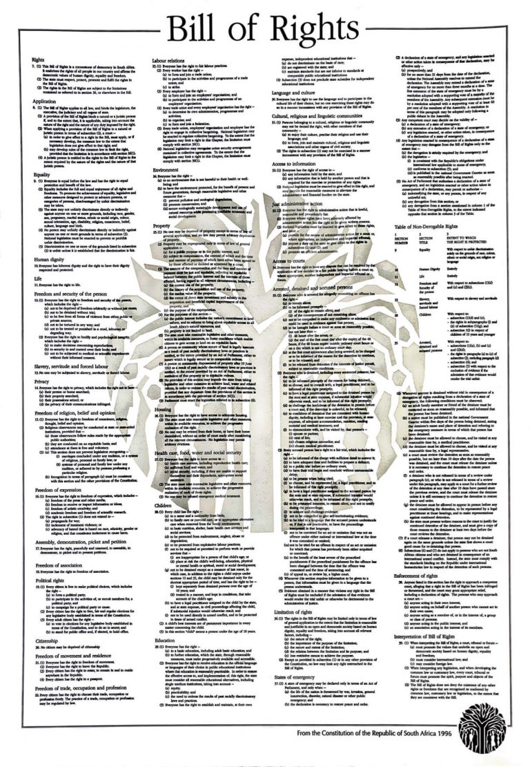 the south african constitution and bill of rights 1996