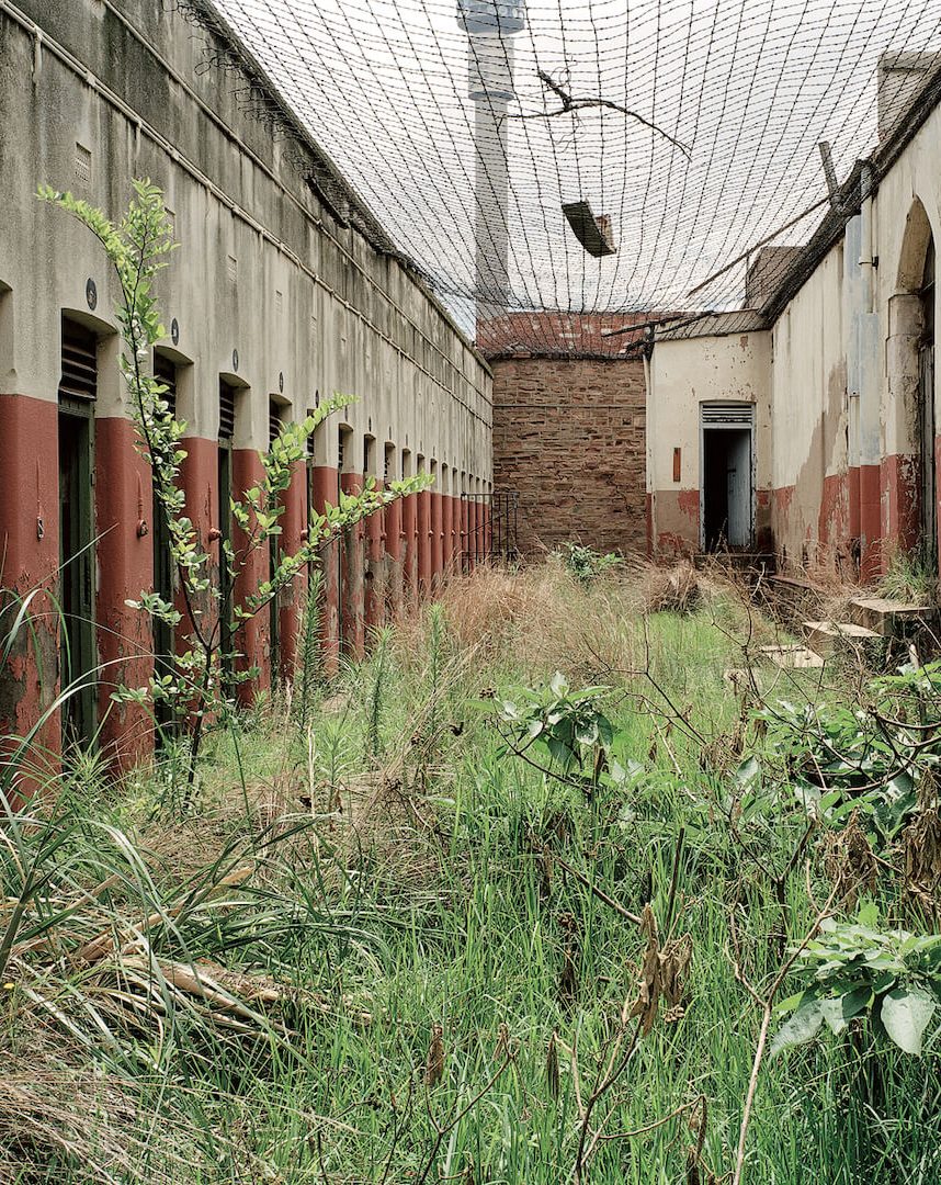 Number Four, abandoned and overgrown.