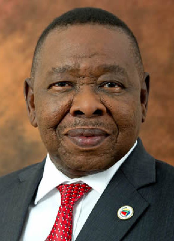 Bonginkosi Nzimande. Government of South Africa